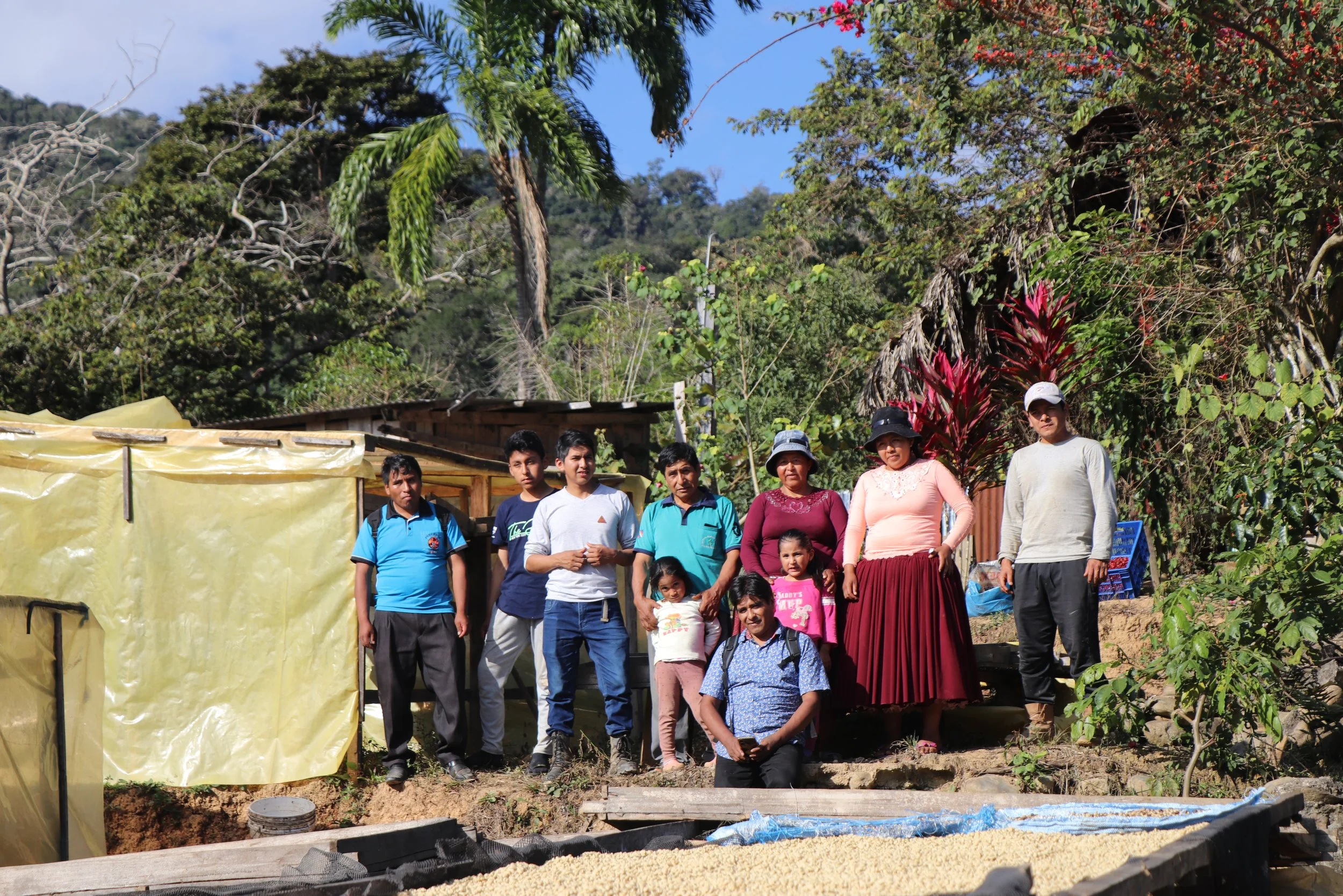 Bio-Arcoíris: Los Inicios