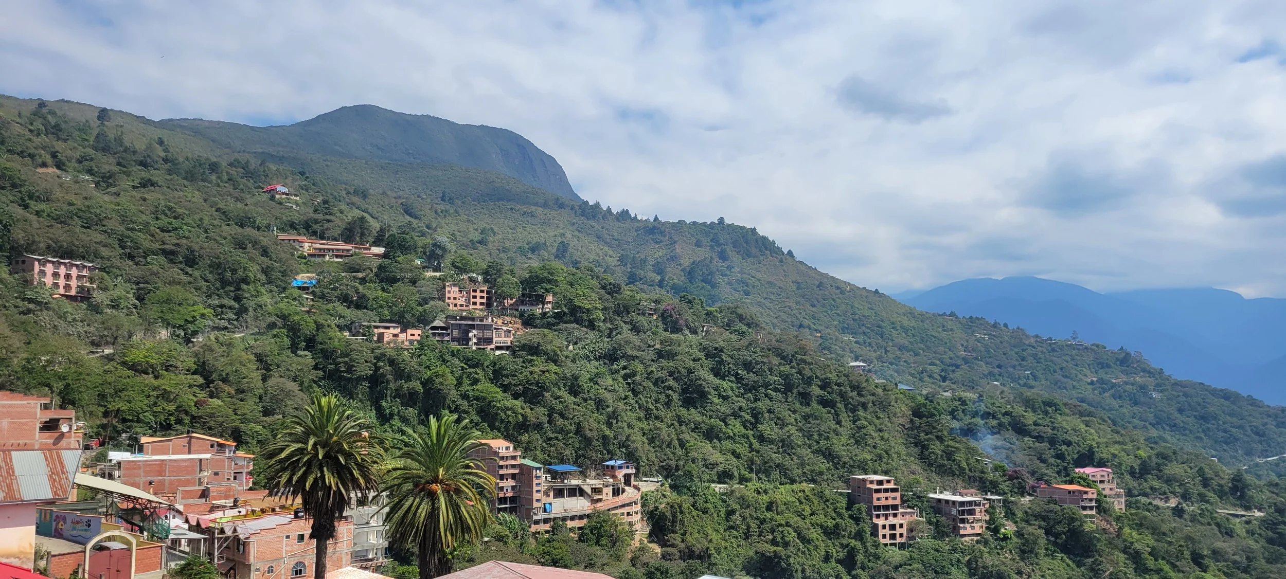 Los Yungas: Hogar de la Cooperativa